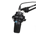 MICROFONO DE CONDENSADOR FET ALCTRON, DE GRAN DIAFRAMA 34MM, CON SOPORTE DE ORO, 20 Hz-20 kHz, CON CORTE DE BAJOS Y SENSIBILIDAD