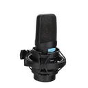 MICROFONO DE CONDENSADOR FET ALCTRON, DE GRAN DIAFRAMA 34MM, CON SOPORTE DE ORO, 20 Hz-20 kHz, CON CORTE DE BAJOS Y SENSIBILIDAD